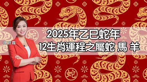 2027年生肖運程|2027年屬什麼生肖，2027年是什麼命